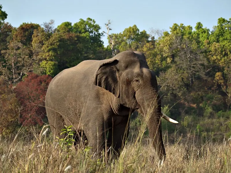 Rajaji National Park