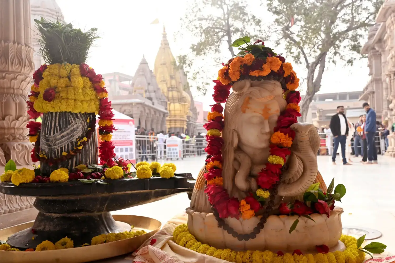 Varanasi Emerges as a Global Hub for Spiritual Tourism 
