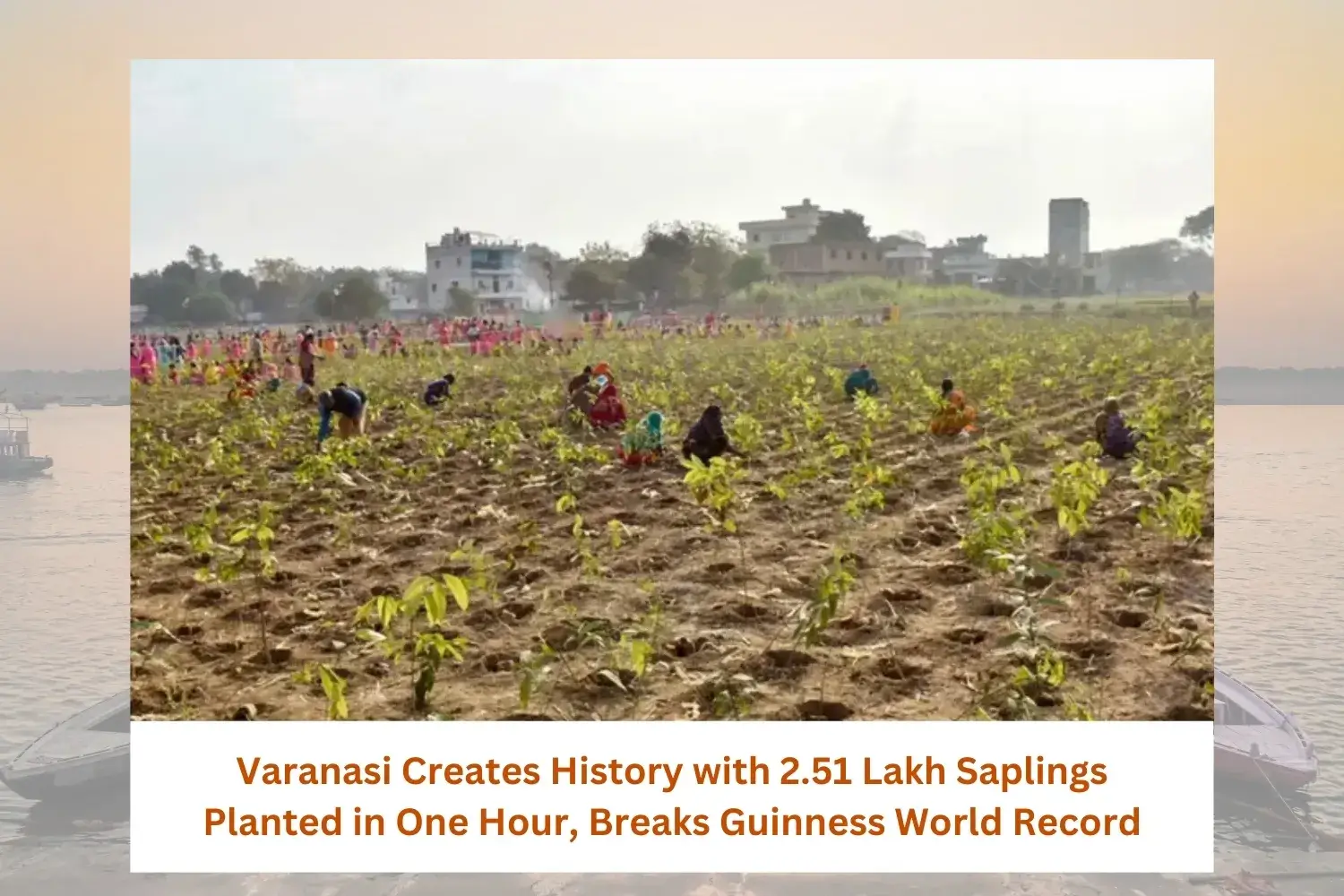 Varanasi Plants 2.51 Lakh Saplings in One Hour, Sets Guinness Record